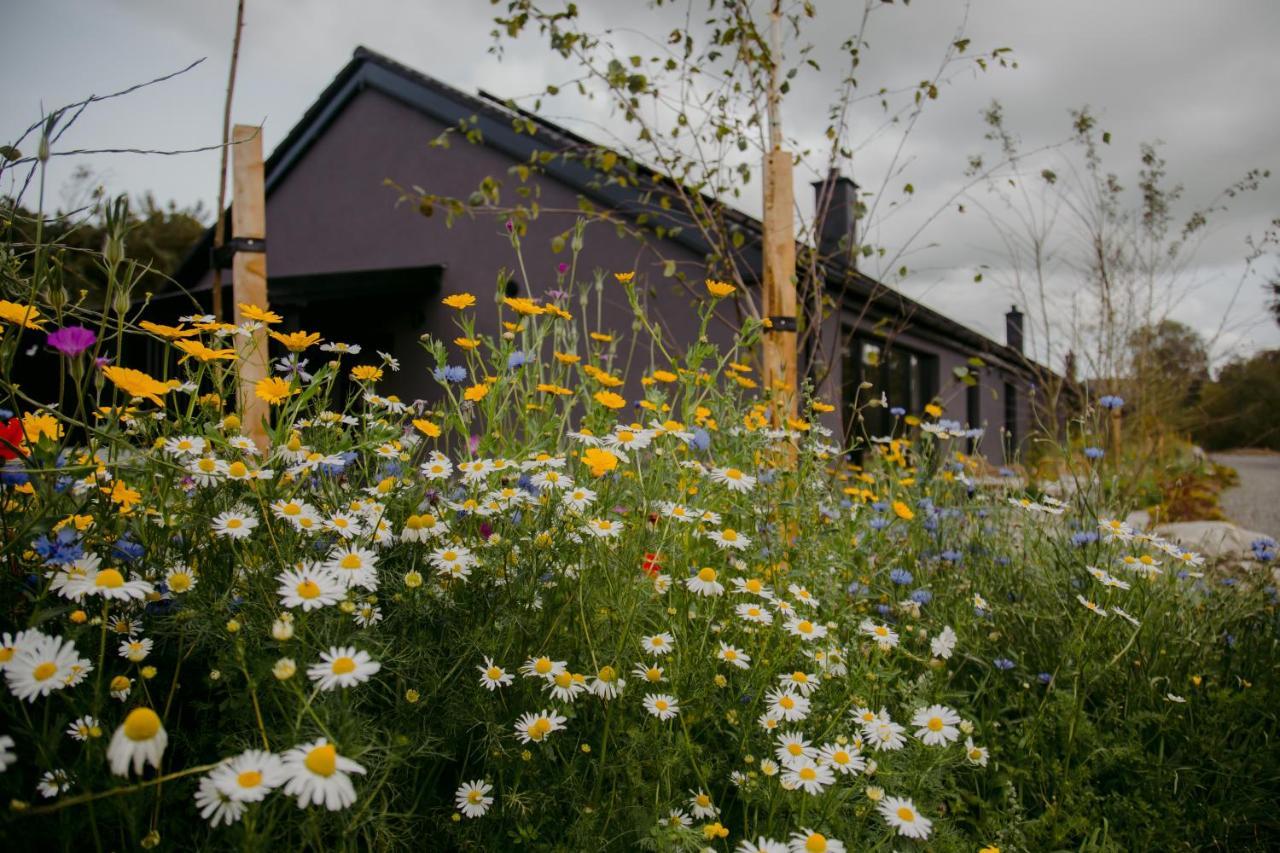 Villa The Deerstone Luxury Eco Hideaway Laragh Esterno foto