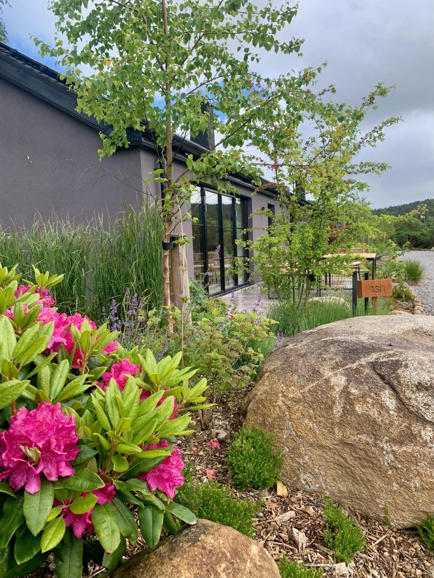Villa The Deerstone Luxury Eco Hideaway Laragh Esterno foto