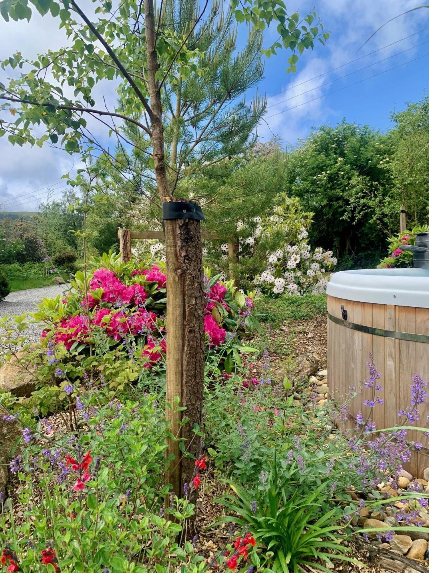 Villa The Deerstone Luxury Eco Hideaway Laragh Esterno foto