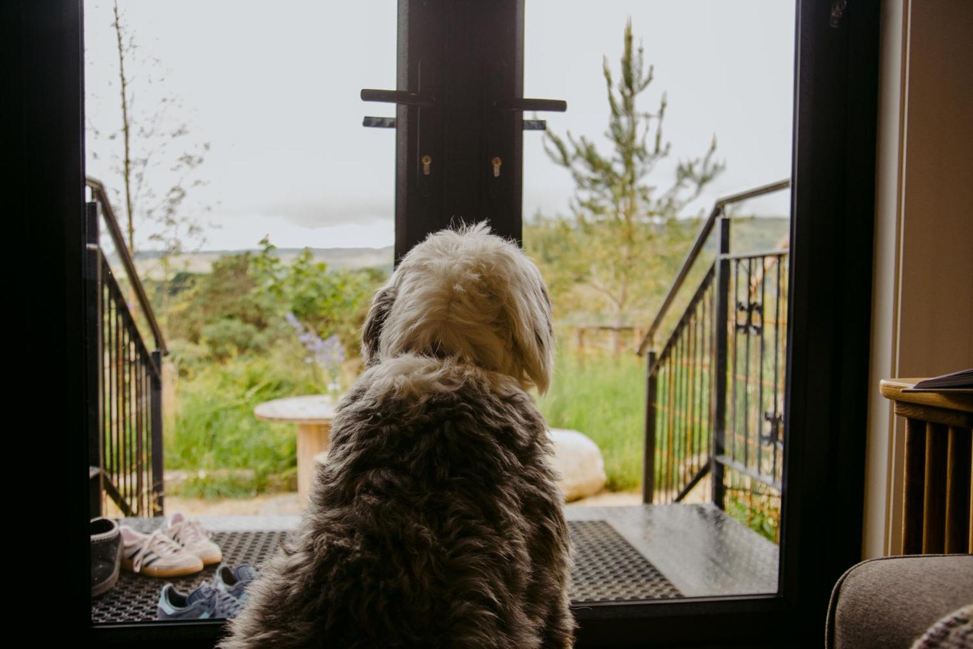 Villa The Deerstone Luxury Eco Hideaway Laragh Esterno foto
